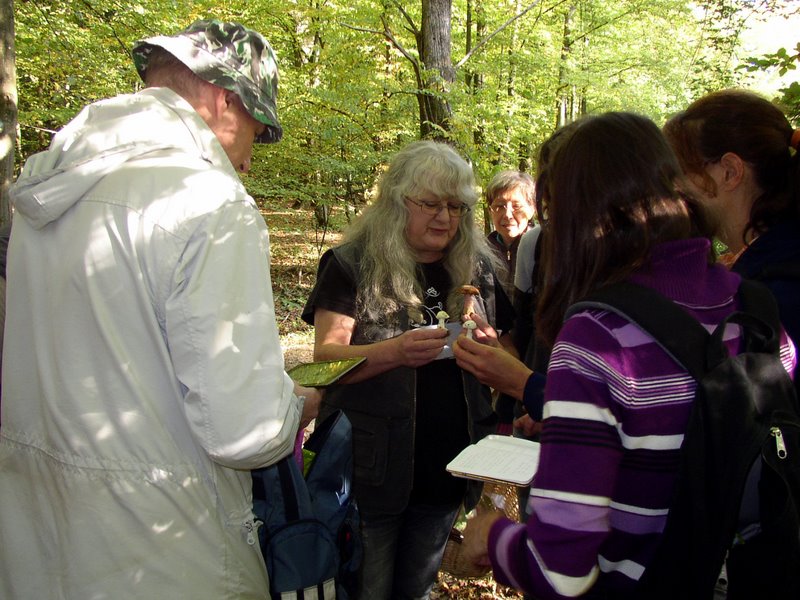 2011 10 02 Baies et champignons 16